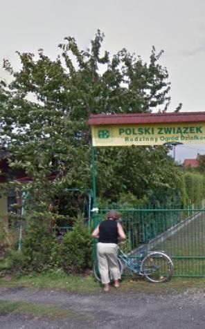 Święto Plonów… nie tylko w Knurowie!